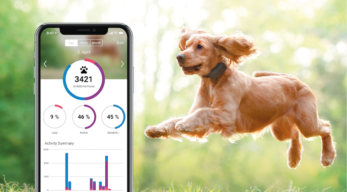 Běžící pes s Tractive GPS Trackerem pro psy a ukázka aplikace